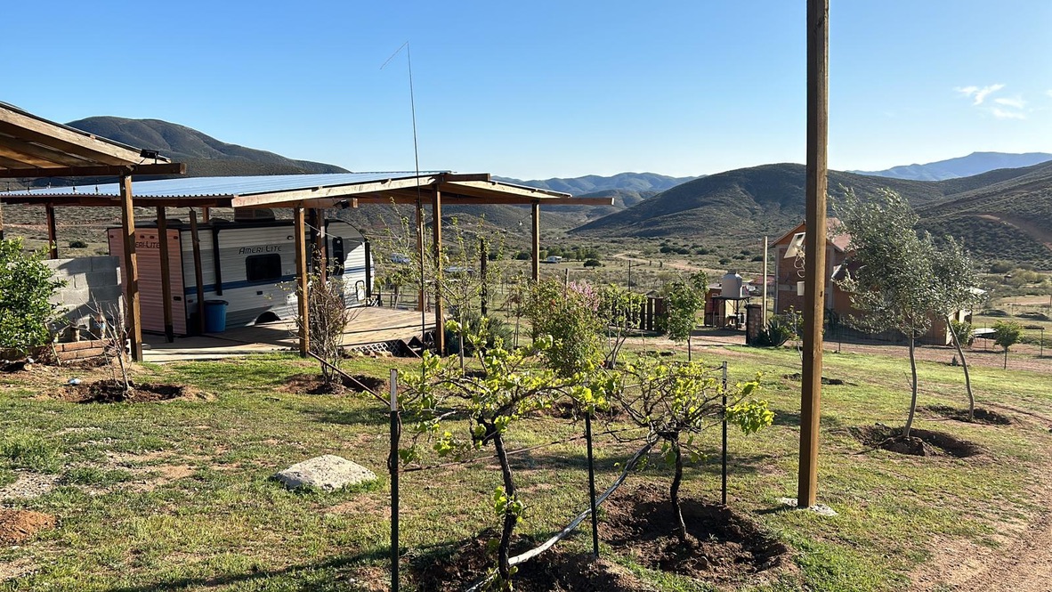Vines and rural hills